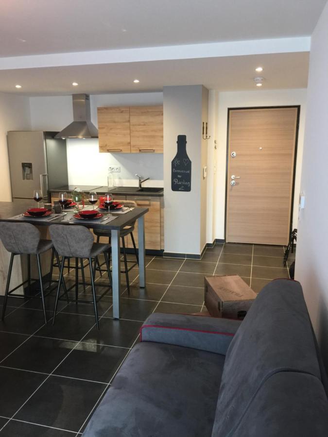 Le Riesling Colmar Centre Charmant Appartement Avec Terrasse Et Parking Gratuit エクステリア 写真