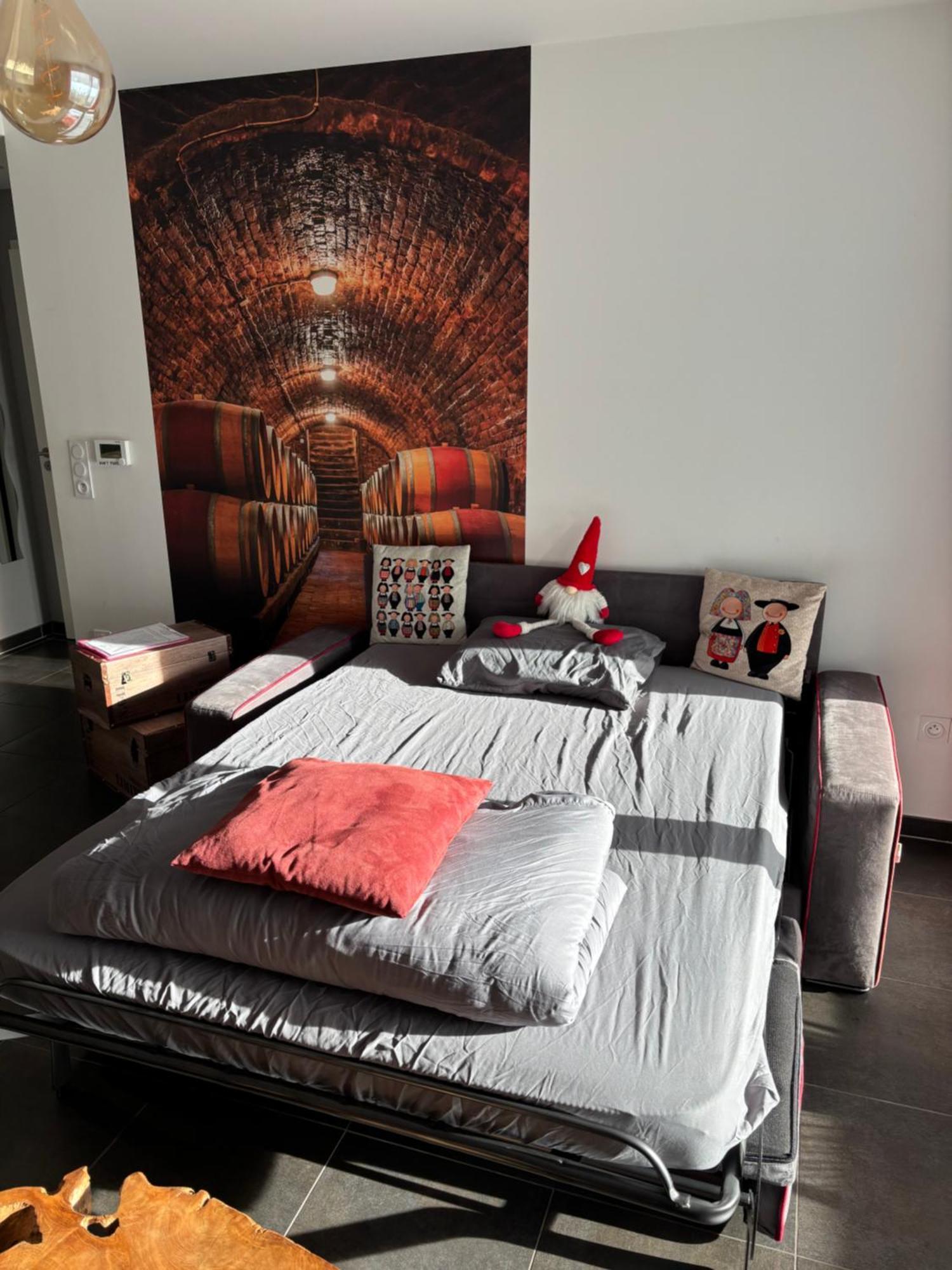 Le Riesling Colmar Centre Charmant Appartement Avec Terrasse Et Parking Gratuit エクステリア 写真